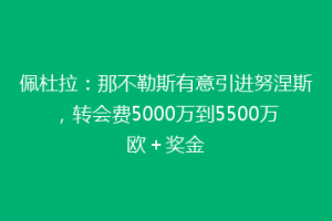佩杜拉：那不勒斯有意引进努涅斯，转会费5000万到5500万欧＋奖金