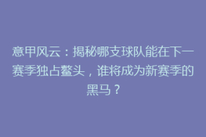 意甲风云：揭秘哪支球队能在下一赛季独占鳌头，谁将成为新赛季的黑马？