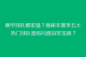意甲球队哪家强?揭秘本赛季五大热门球队谁将问鼎冠军宝座?
