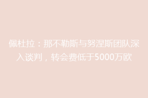 佩杜拉：那不勒斯与努涅斯团队深入谈判，转会费低于5000万欧