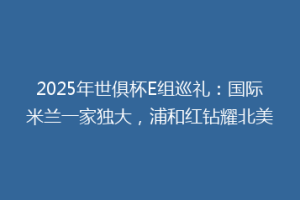 2025年世俱杯E组巡礼：国际米兰一家独大，浦和红钻耀北美
