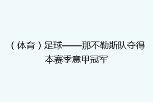 （体育）足球——那不勒斯队夺得本赛季意甲冠军