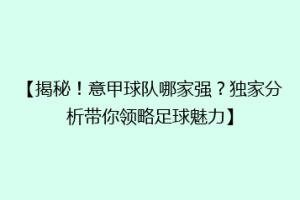 【揭秘！意甲球队哪家强？独家分析带你领略足球魅力】