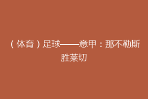 （体育）足球——意甲：那不勒斯胜莱切