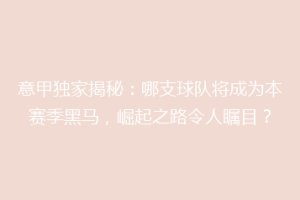 意甲独家揭秘：哪支球队将成为本赛季黑马，崛起之路令人瞩目？