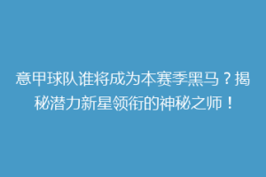 意甲球队谁将成为本赛季黑马？揭秘潜力新星领衔的神秘之师！