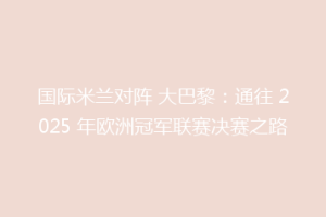国际米兰对阵 大巴黎：通往 2025 年欧洲冠军联赛决赛之路