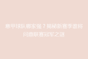 意甲球队哪家强？揭秘新赛季谁将问鼎联赛冠军之谜