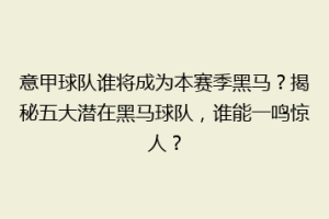 意甲球队谁将成为本赛季黑马？揭秘五大潜在黑马球队，谁能一鸣惊人？