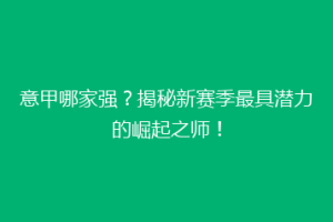 意甲哪家强？揭秘新赛季最具潜力的崛起之师！