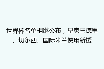 世界杯名单相继公布,皇家马德里、切尔西、国际米兰使用新援