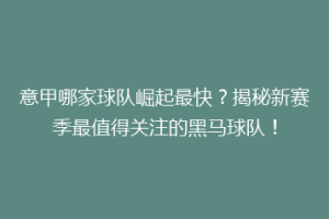 意甲哪家球队崛起最快？揭秘新赛季最值得关注的黑马球队！